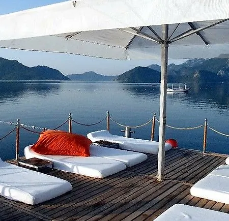 Elegance International 5*